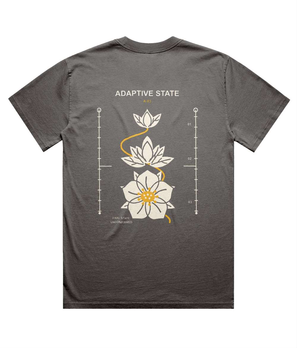 Adaptive State faded-grey oversized T-shirt, back with three botanical growth stages in ivory and amber. Digital mockup.