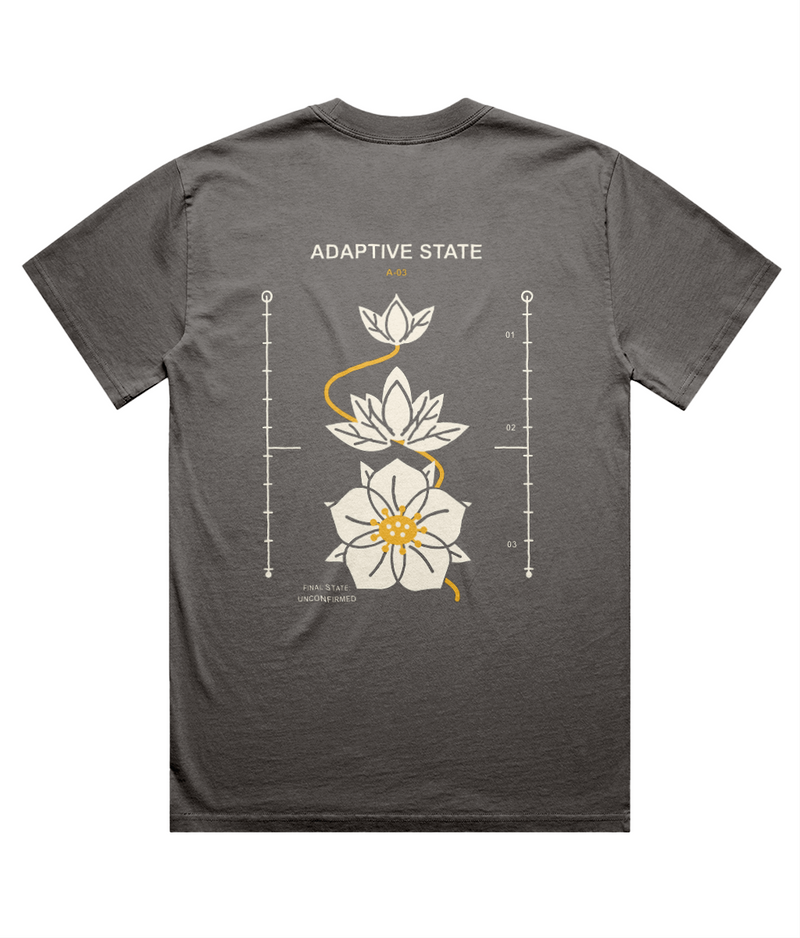 Adaptive State faded-grey oversized T-shirt, back with three botanical growth stages in ivory and amber. Digital mockup.